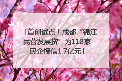 首创试点！成都“锦江民营发展贷”为118家民企授信1.7亿元